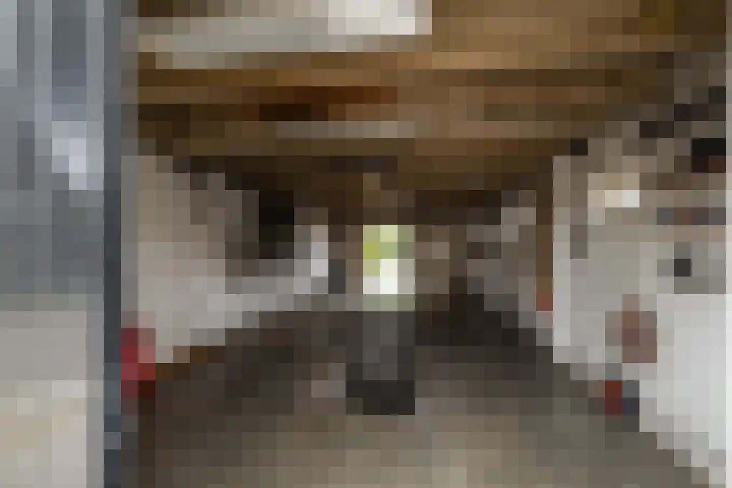 Kerkhofweg 159 Overdinkel thumbnail 40