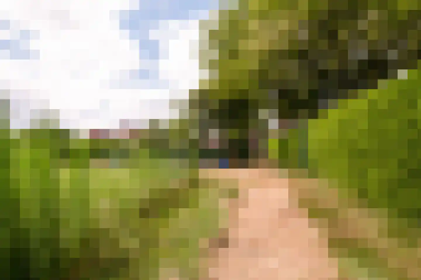 Kerkhofweg 159 Overdinkel thumbnail 46
