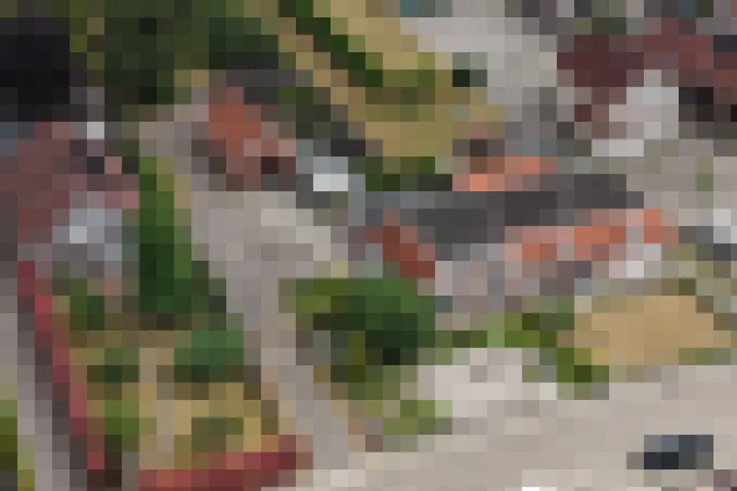 Kerkhofweg 159 Overdinkel thumbnail 49