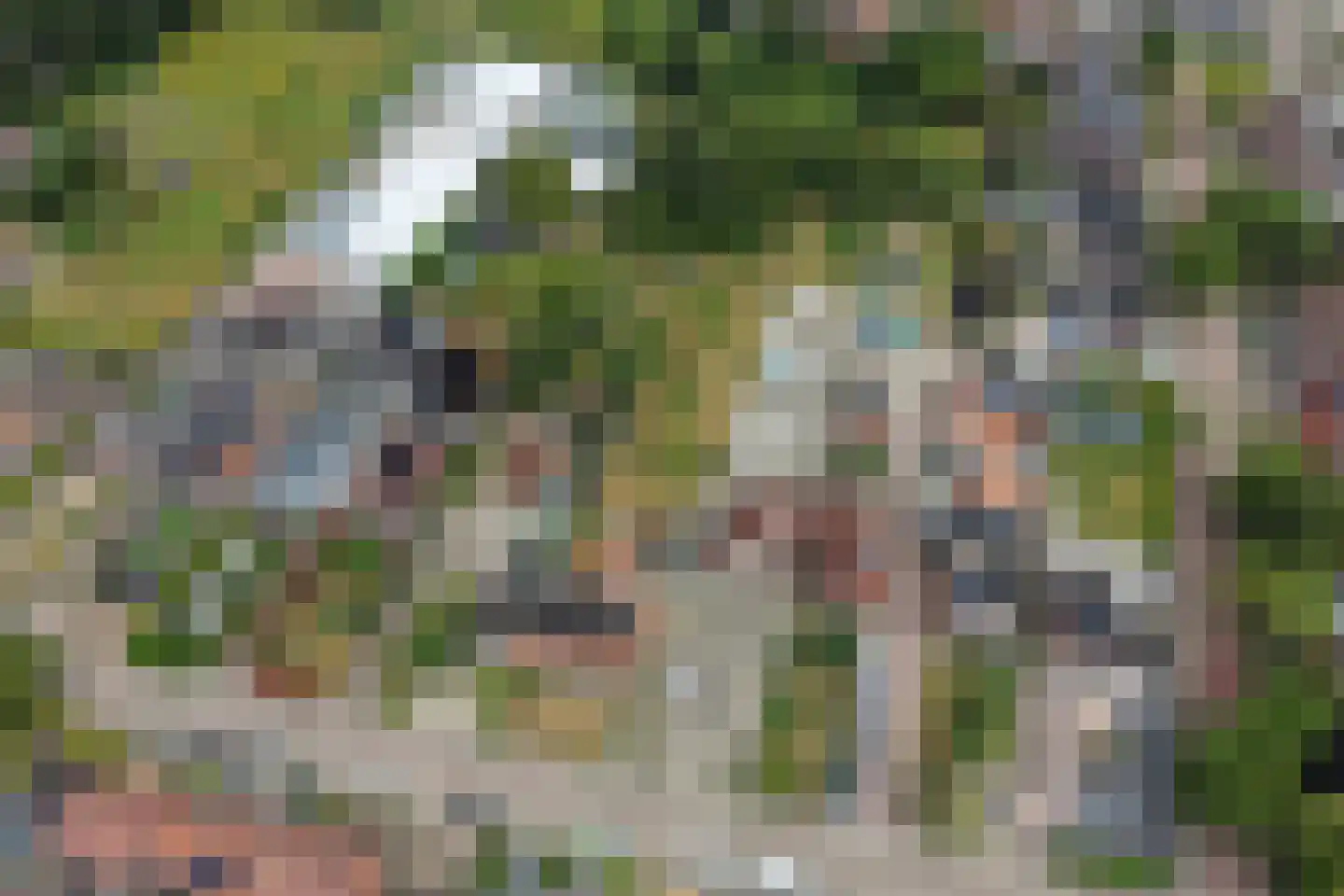 Kerkhofweg 159 Overdinkel thumbnail 52
