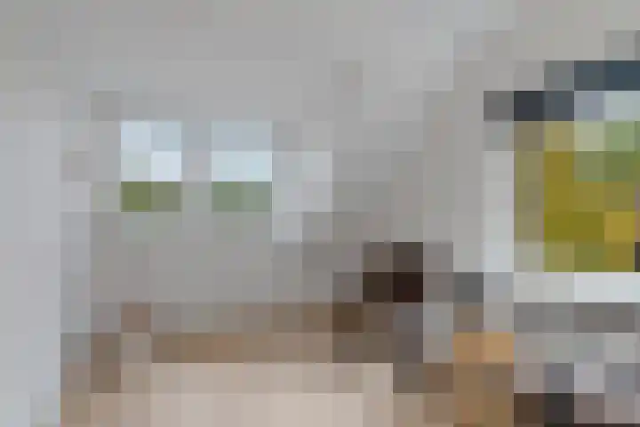Kerkhofweg 168 Overdinkel thumbnail 12