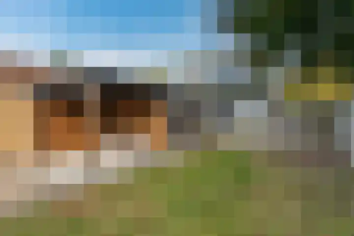 Kerkhofweg 168 Overdinkel thumbnail 20