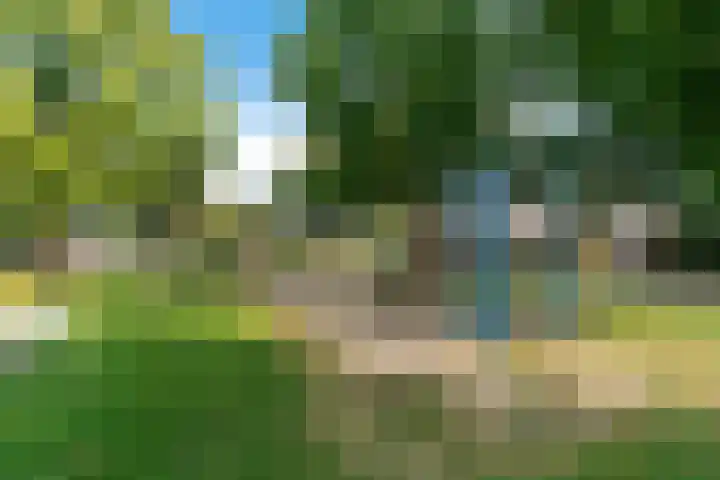 Kerkhofweg 168 Overdinkel thumbnail 21