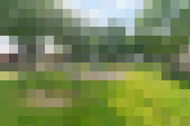 Kerkhofweg 168 Overdinkel thumbnail 22