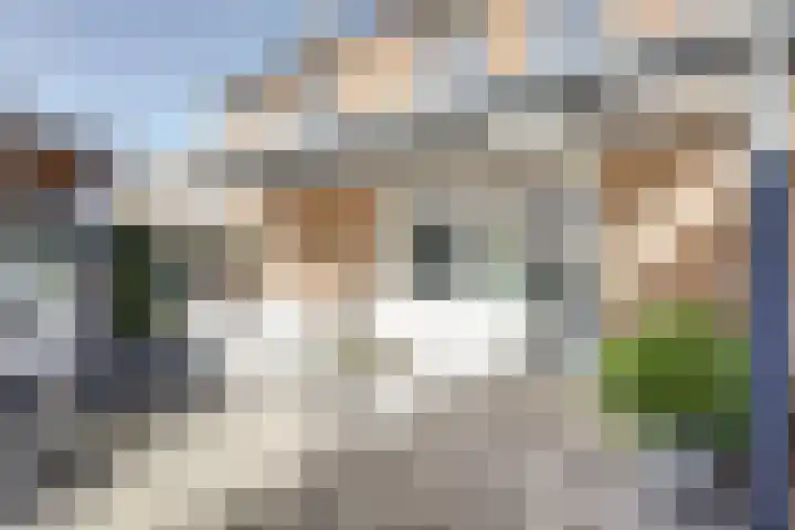 Kerkhofweg 20 Venlo thumbnail 29