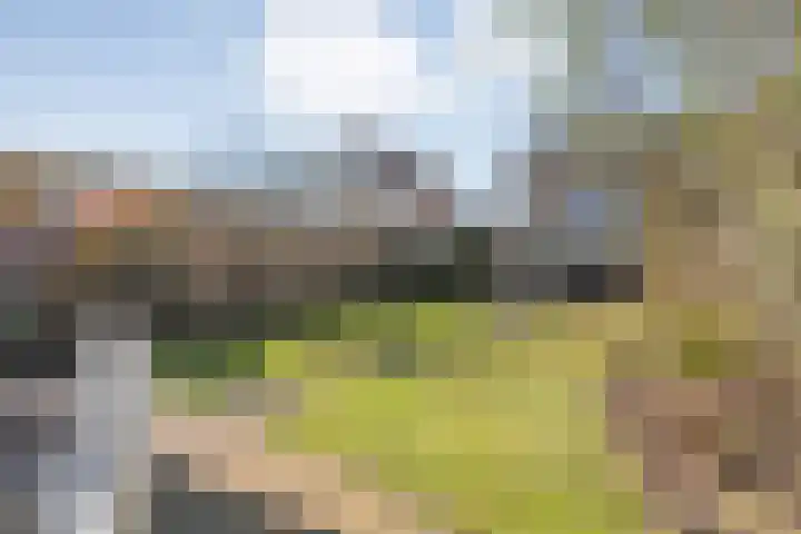 Kerkhofweg 201 Overdinkel thumbnail 46