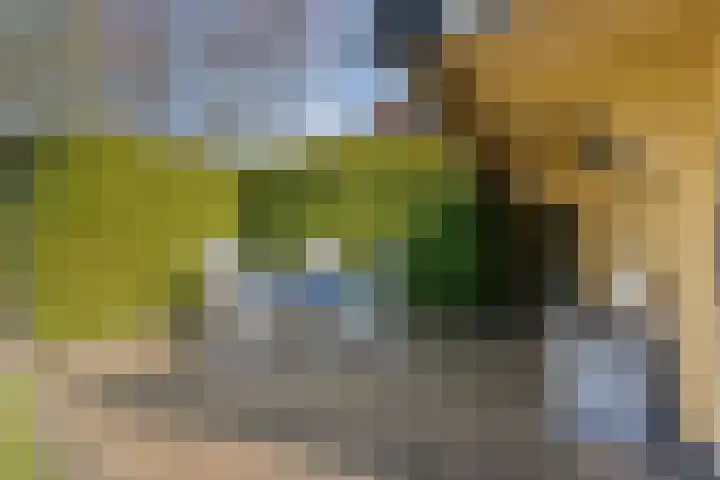 Kerkhofweg 201 Overdinkel thumbnail 47