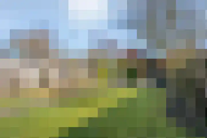 Kerkhofweg 201 Overdinkel thumbnail 48