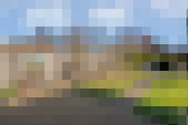 Kerkhofweg 201 Overdinkel thumbnail 49