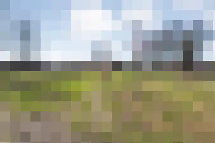 Kerkhofweg 201 Overdinkel thumbnail 55