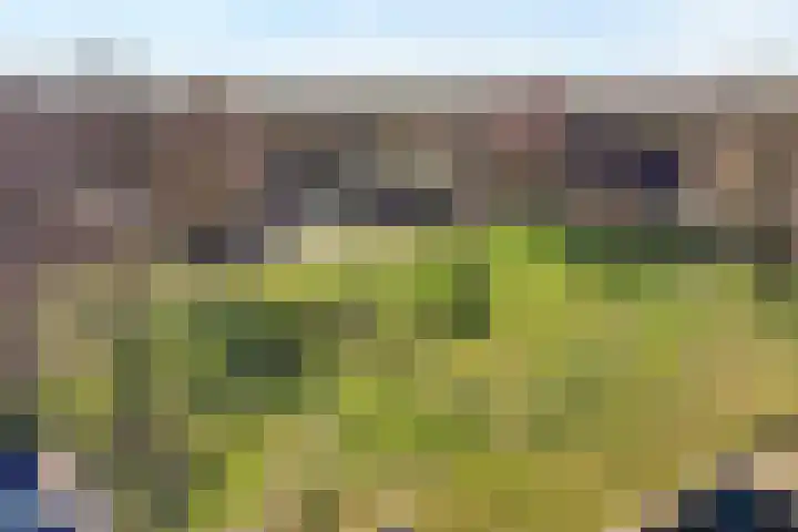 Kerkhofweg 201 Overdinkel thumbnail 56