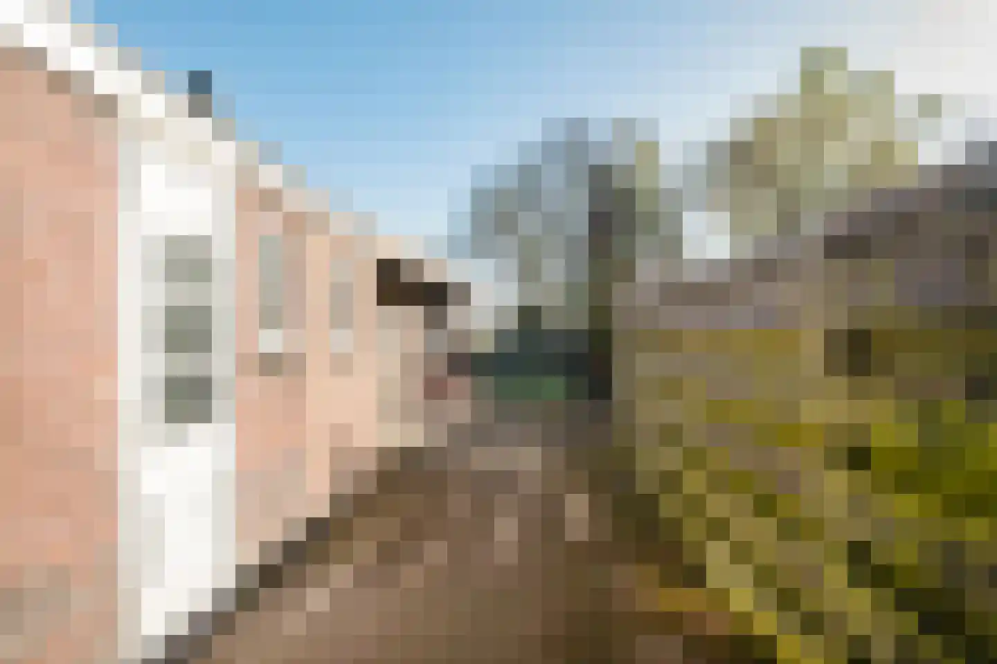 Kerkhofweg 247 Overdinkel thumbnail 28