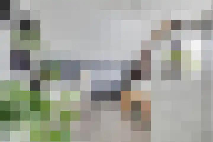 Kerkhofweg 4 Emst thumbnail 15