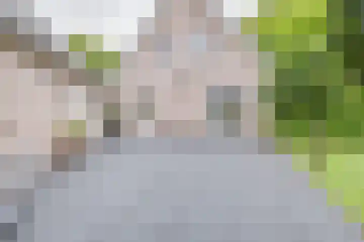 Kerkhofweg 4 Emst thumbnail 27
