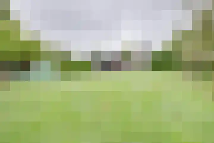 Kerkhofweg 4 Emst thumbnail 28