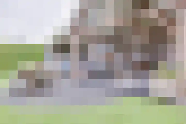 Kerkhofweg 4 Emst thumbnail 30