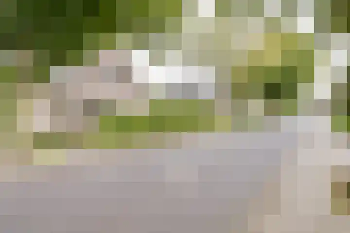 Kerkhofweg 4 Emst thumbnail 36