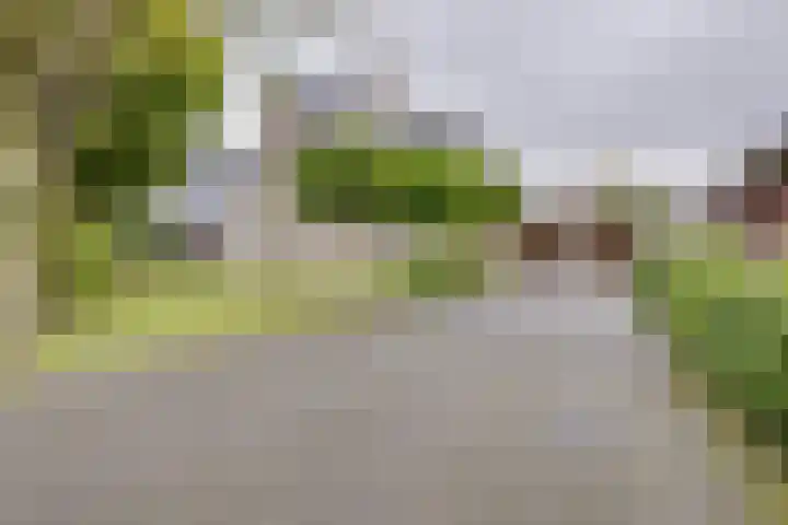Kerkhofweg 4 Emst thumbnail 37