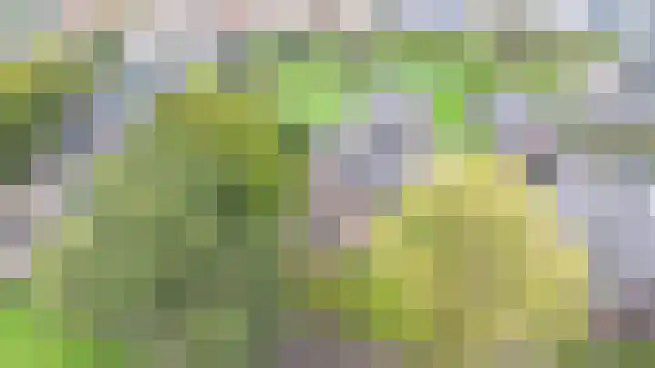Kerkhofweg 4 Emst thumbnail 38