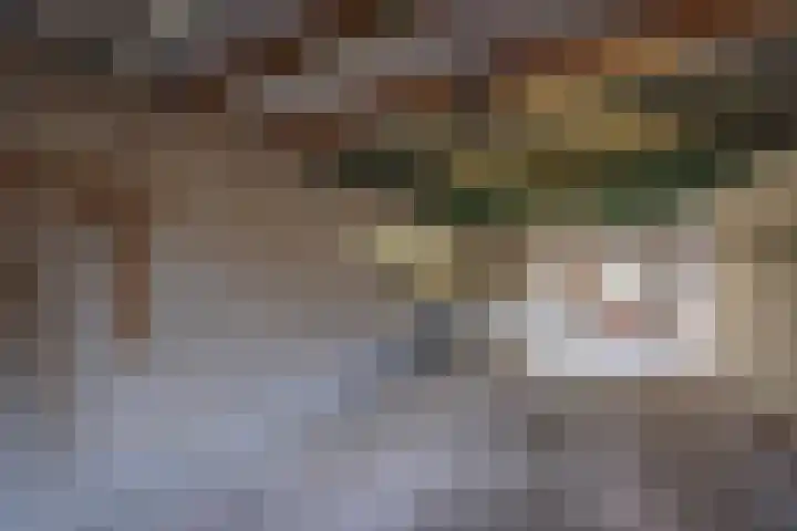 Kerkhovenbaan 4 Heukelom thumbnail 23
