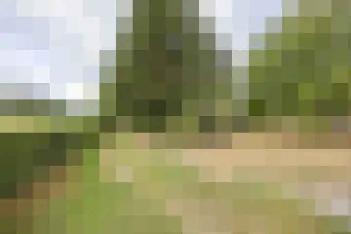 Kerkhovenbaan 4 Heukelom thumbnail 27