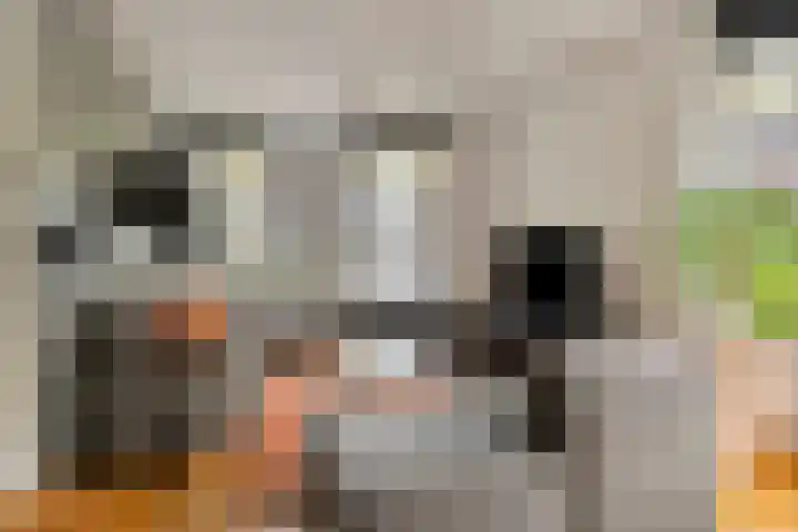 Kerklaan 1 Capelle aan den IJssel thumbnail 13