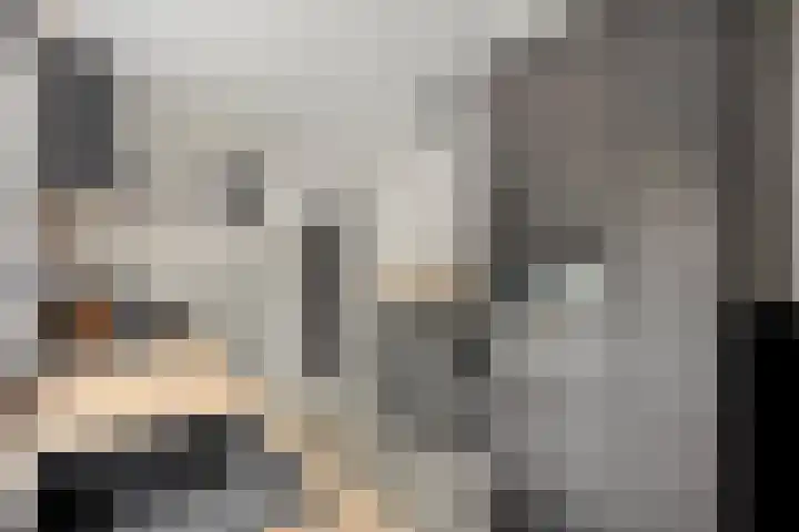 Kerklaan 1 Capelle aan den IJssel thumbnail 23