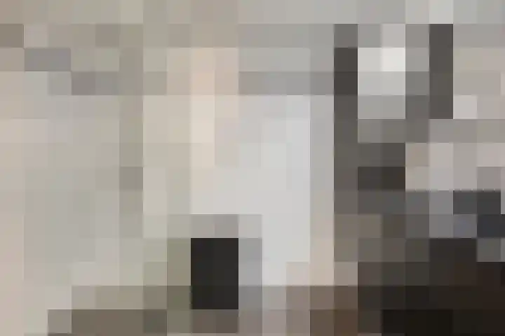 Kerklaan 1 Capelle aan den IJssel thumbnail 31