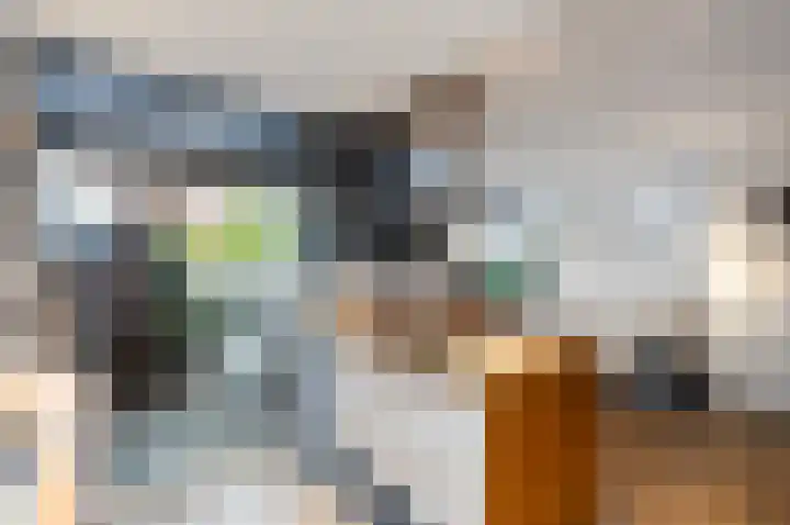Kerklaan 1 Koudekerk aan den Rijn thumbnail 10