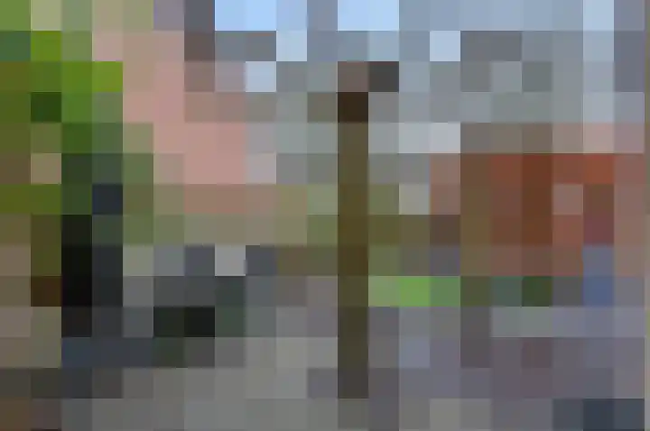 Kerklaan 1 Koudekerk aan den Rijn thumbnail 16