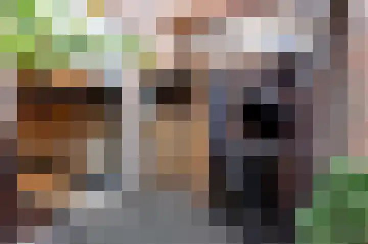 Kerklaan 1 Koudekerk aan den Rijn thumbnail 18