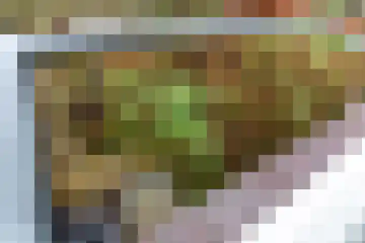 Kerklaan 1 Koudekerk aan den Rijn thumbnail 27