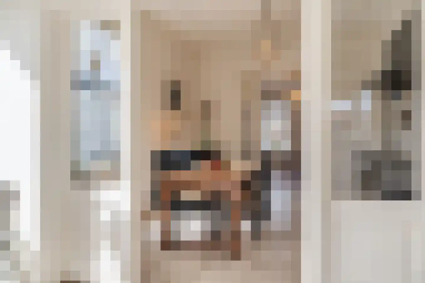 Kerklaan 1 Nieuwer Ter Aa thumbnail 12