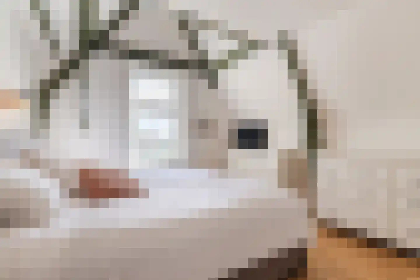 Kerklaan 1 Nieuwer Ter Aa thumbnail 30