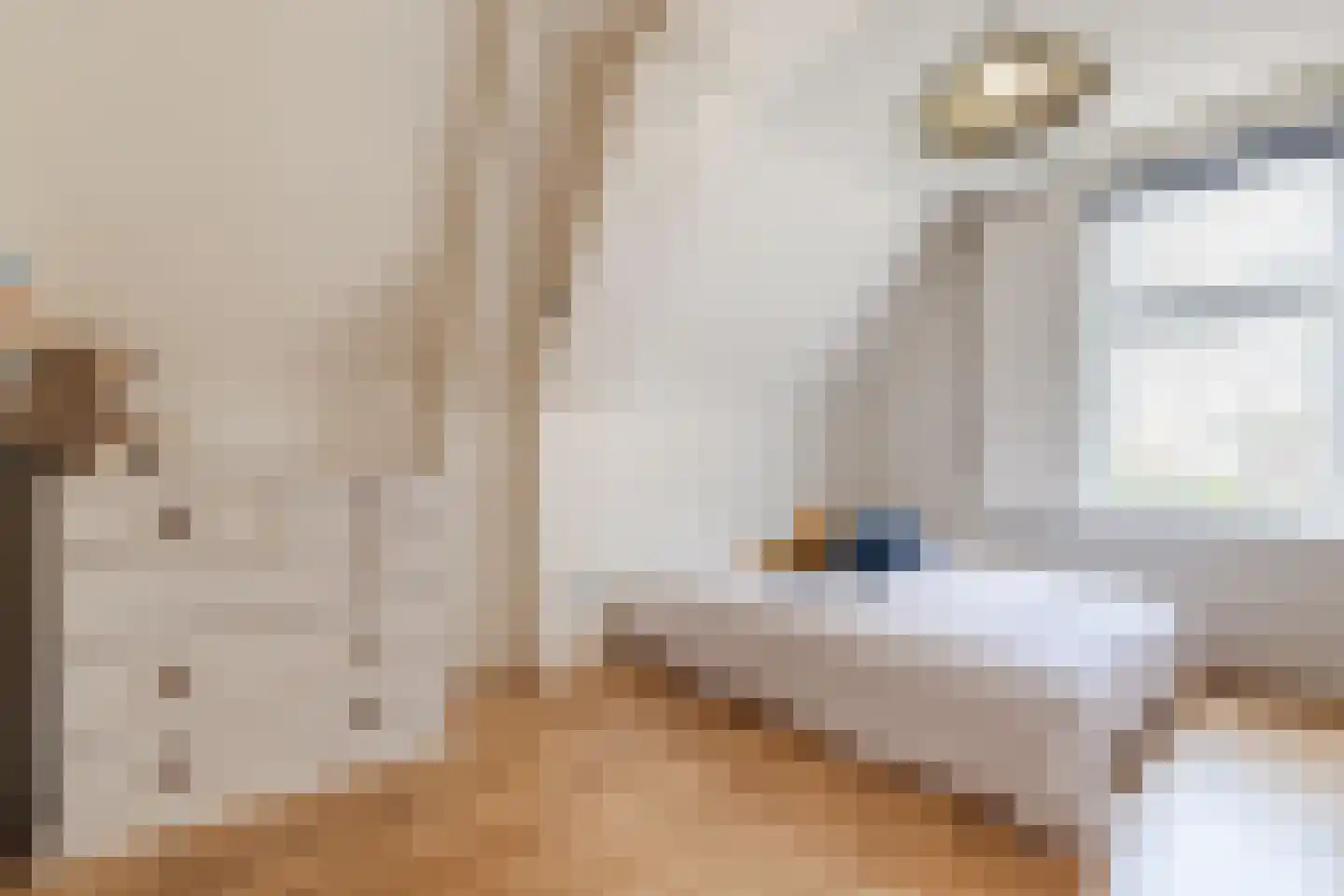 Kerklaan 1 Nieuwer Ter Aa thumbnail 33