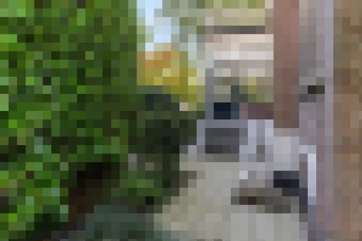 Kerklaan 10 Apeldoorn thumbnail 26