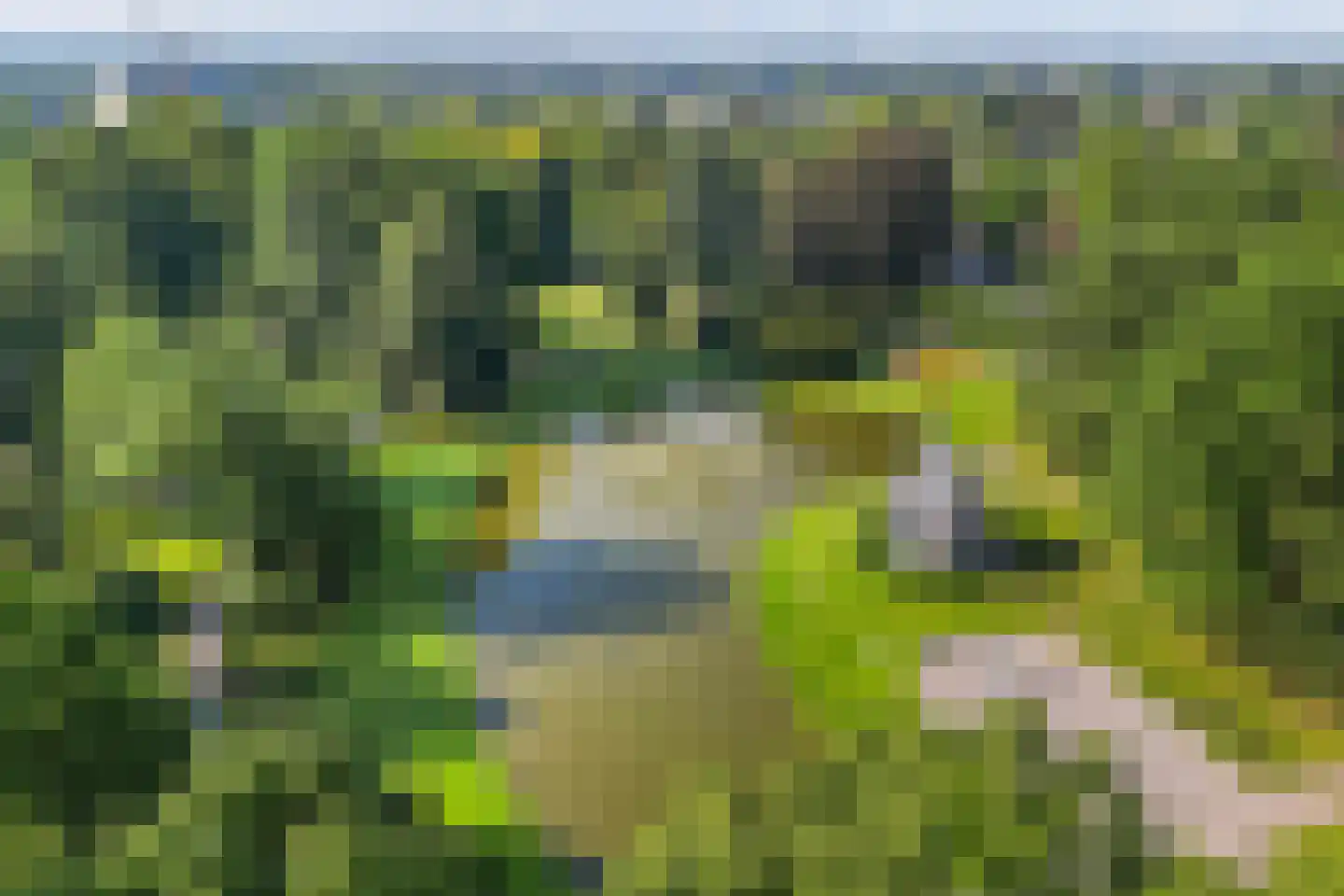 Kerklaan 10 Apeldoorn thumbnail 32