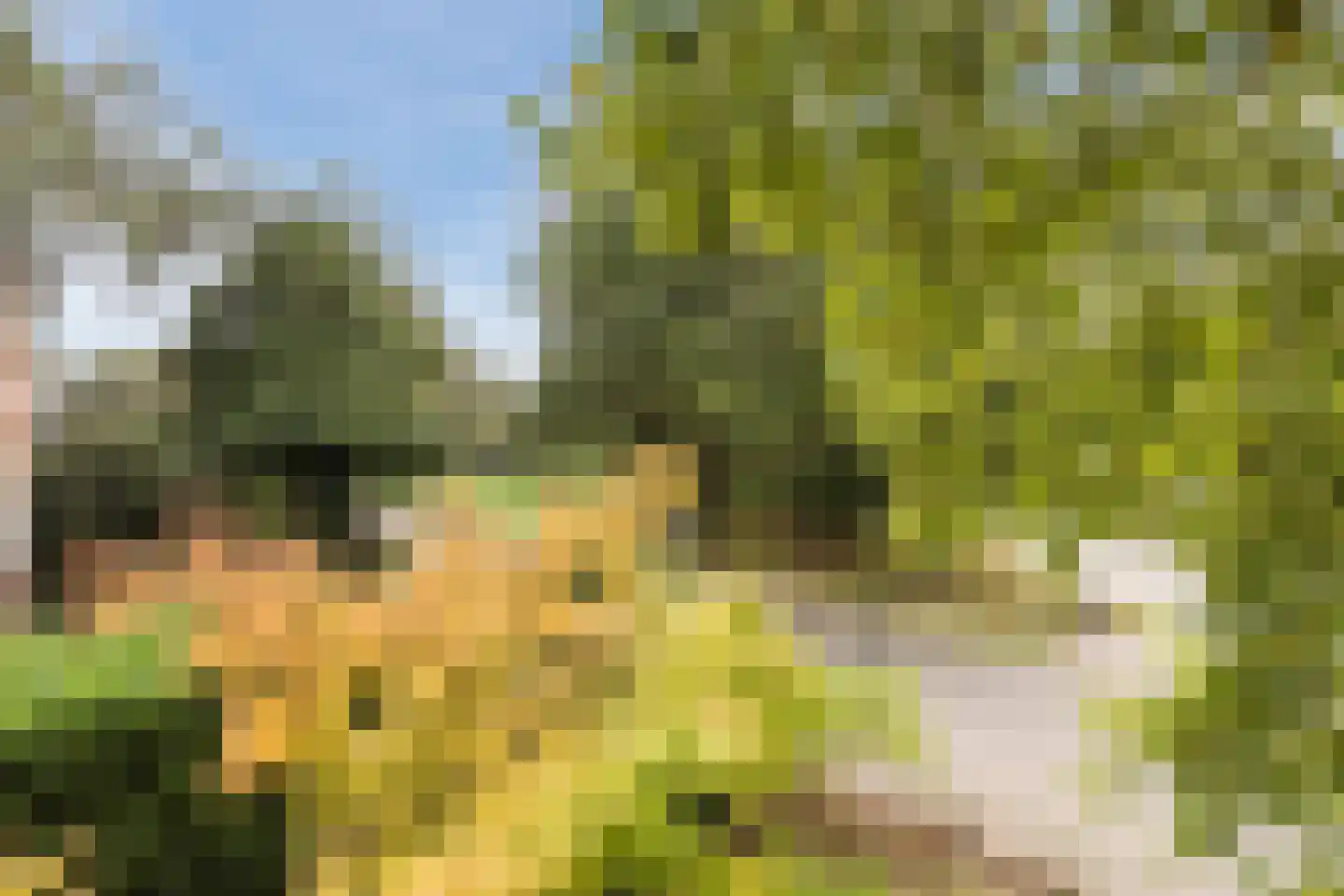Kerklaan 10 Apeldoorn thumbnail 34