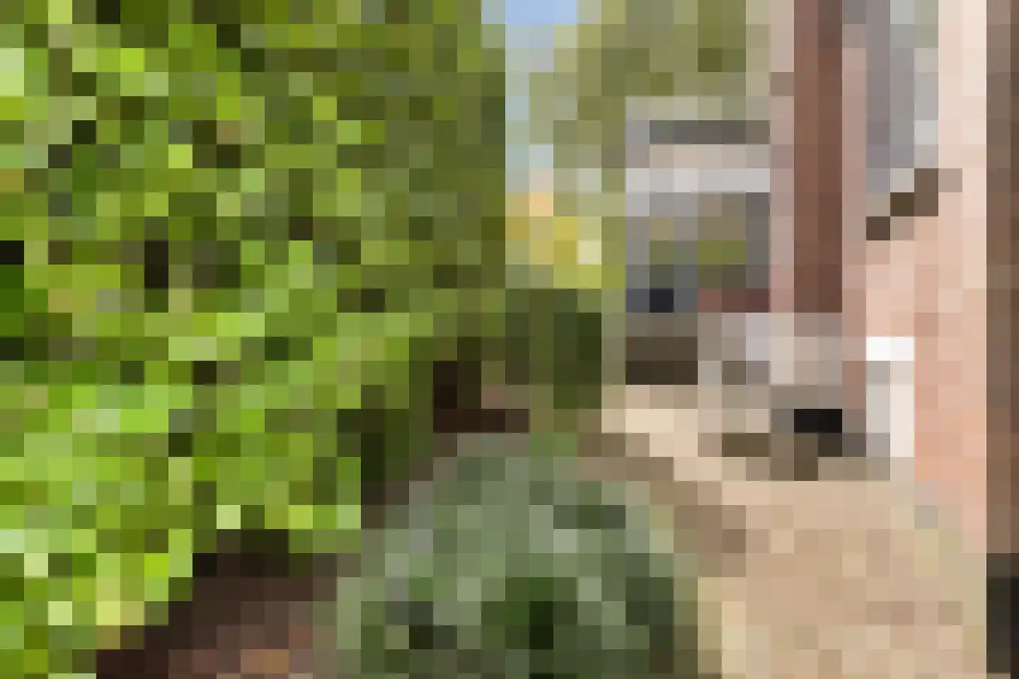 Kerklaan 10 Apeldoorn thumbnail 41