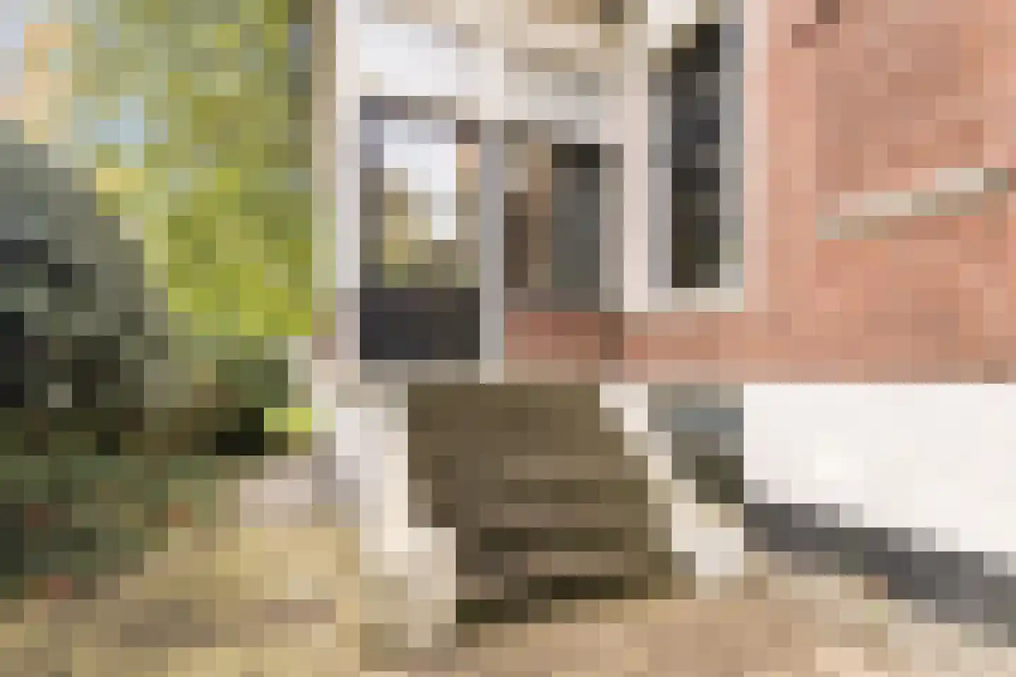 Kerklaan 10 Apeldoorn thumbnail 46