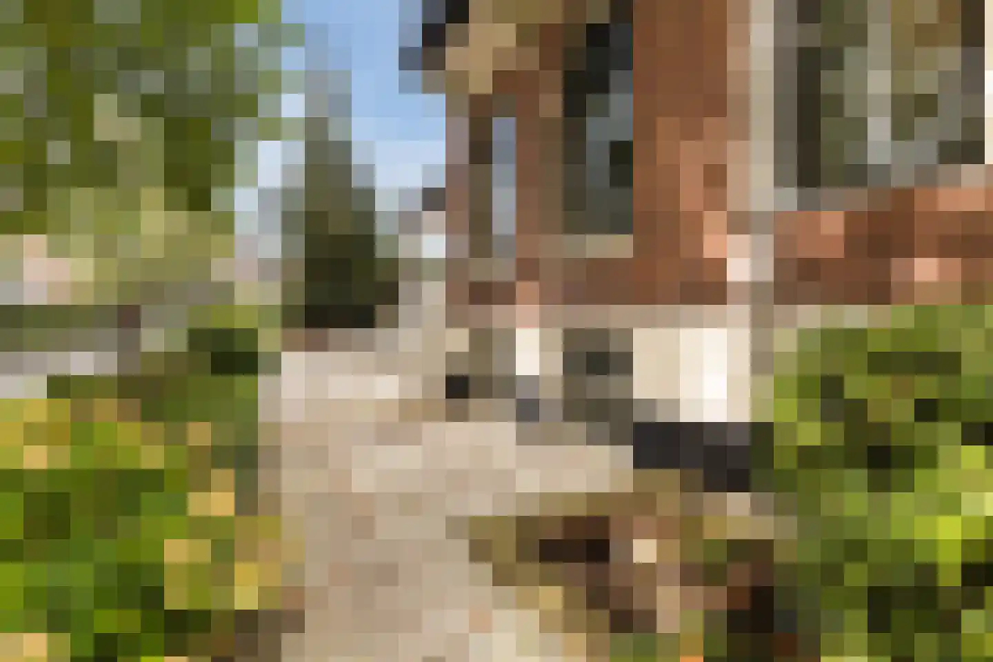 Kerklaan 10 Apeldoorn thumbnail 50