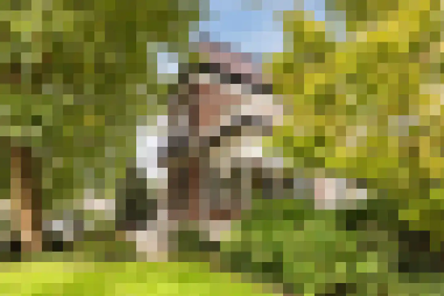 Kerklaan 10 Apeldoorn thumbnail 56
