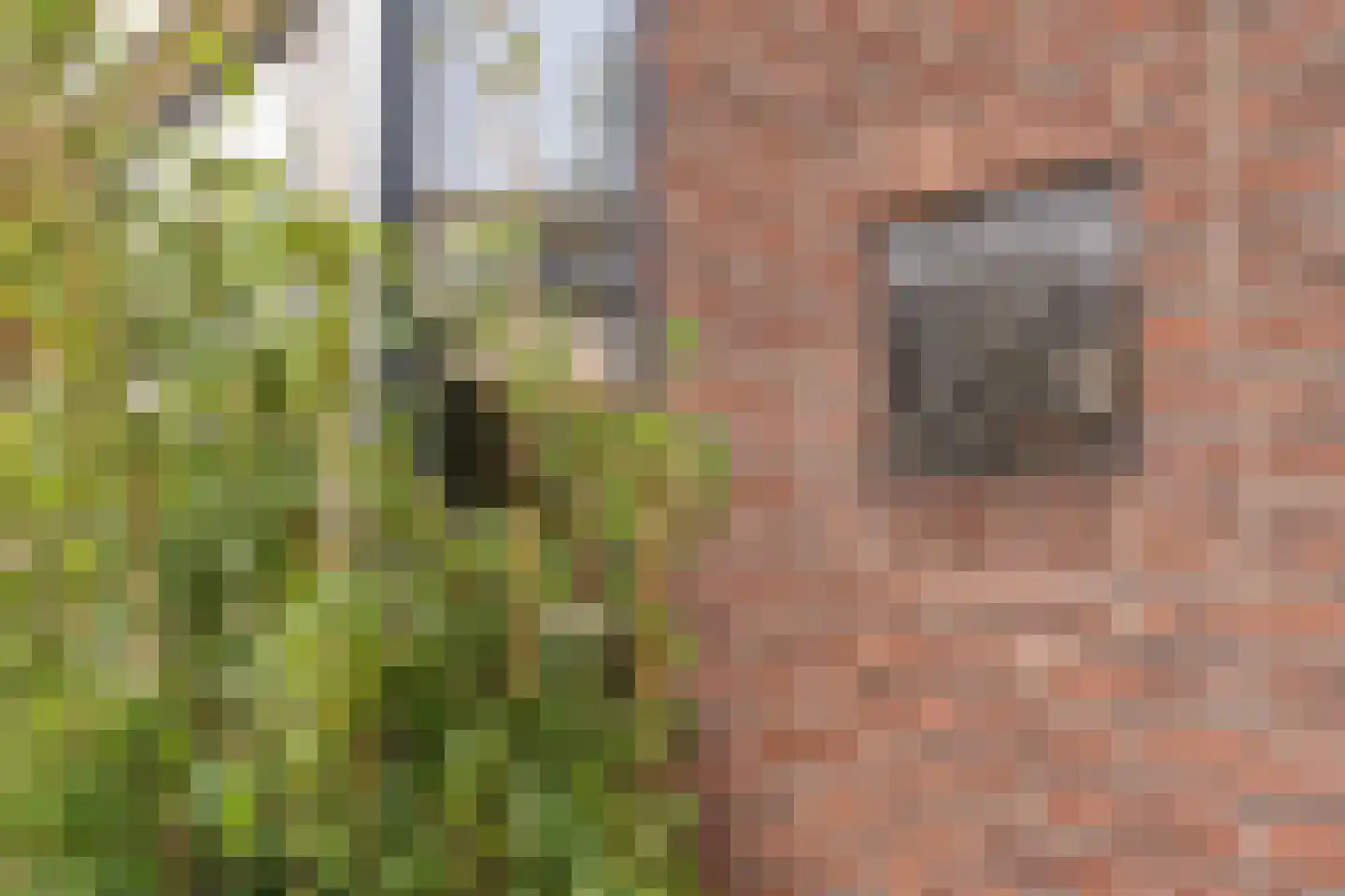 Kerklaan 10 Schiedam thumbnail 17
