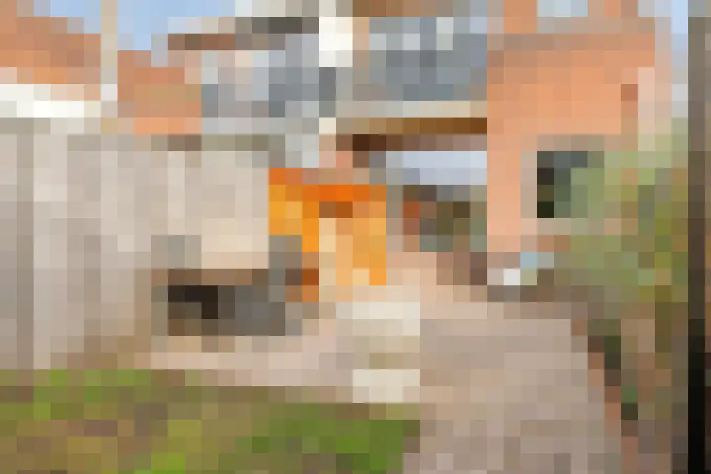Kerklaan 10 Schiedam thumbnail 38