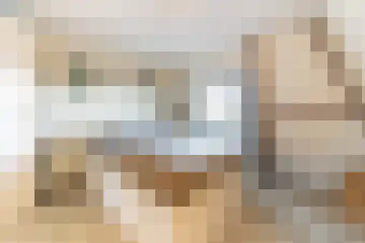 Kerklaan 100 a Nieuwerkerk aan den IJssel thumbnail 20