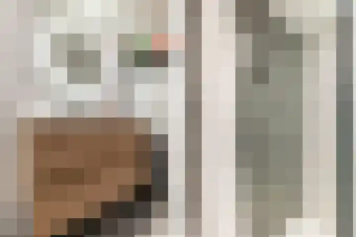 Kerklaan 100 a Nieuwerkerk aan den IJssel thumbnail 22