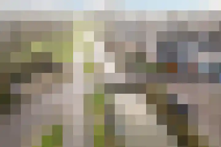 Kerklaan 100 a Nieuwerkerk aan den IJssel thumbnail 34