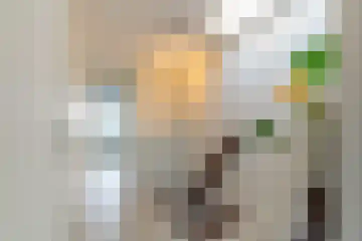 Kerklaan 100 a Nieuwerkerk aan den IJssel thumbnail 7
