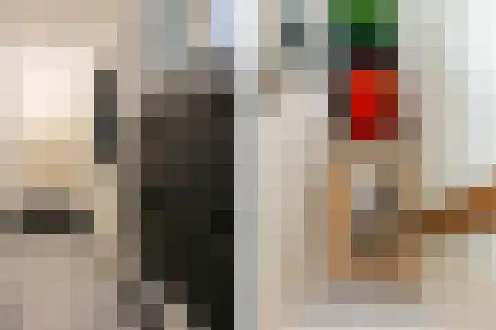 Kerklaan 100 a Nieuwerkerk aan den IJssel thumbnail 8