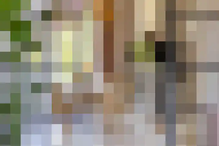 Kerklaan 101 Groningen thumbnail 18